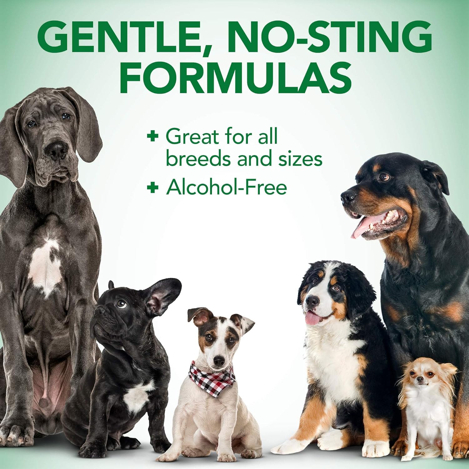 Vet's Best Allergy Itch Relief Dog Spray - Image 2