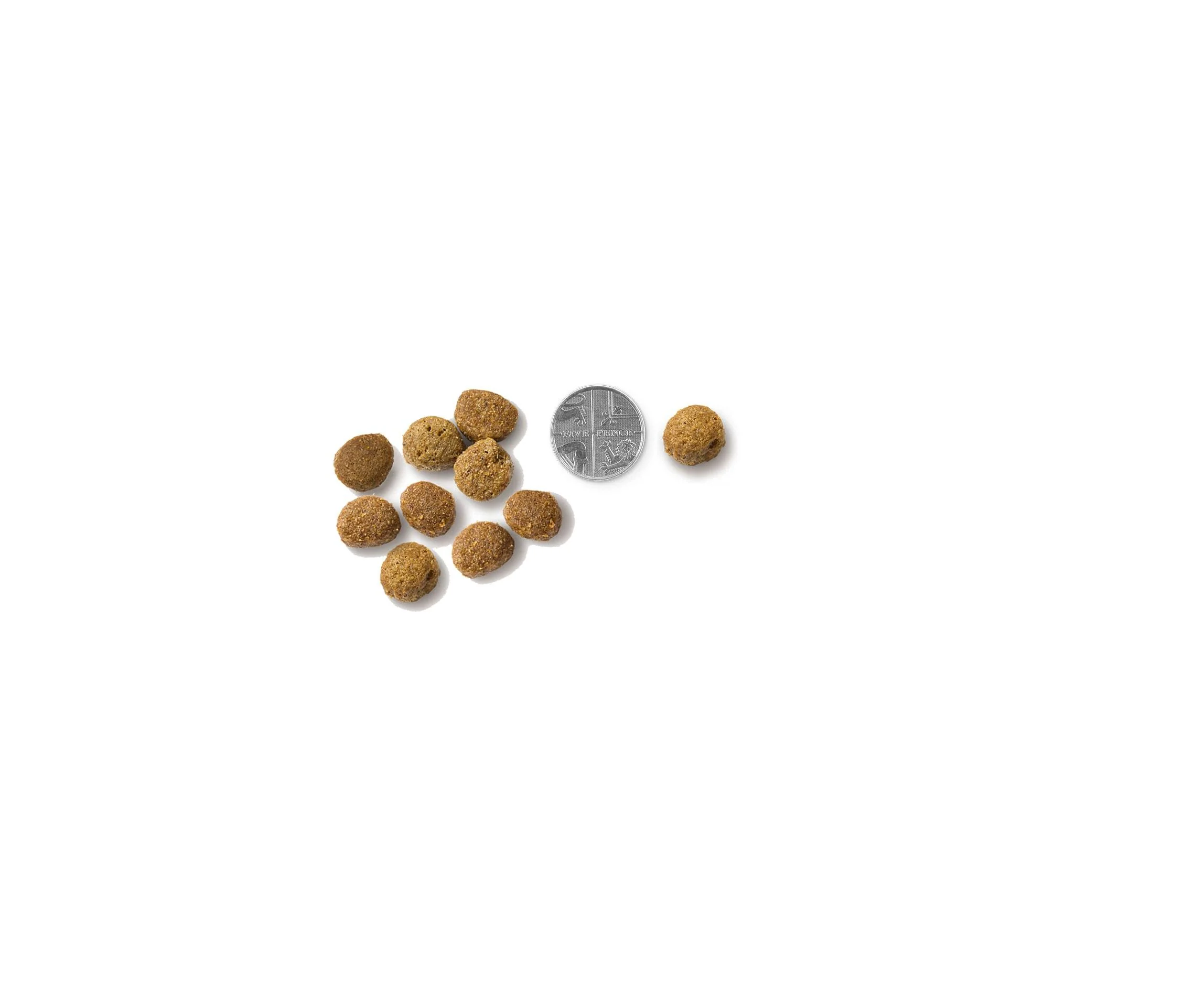 Vets Kitchen Adult Grain-free Sensitive Pork & Potato Dry Dog Food - Image 7