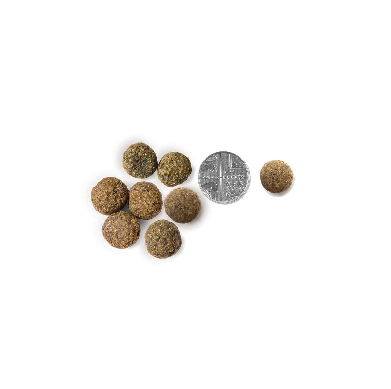 Vets Kitchen Senior Salmon & Brown Rice Dry Dog Food - Image 6