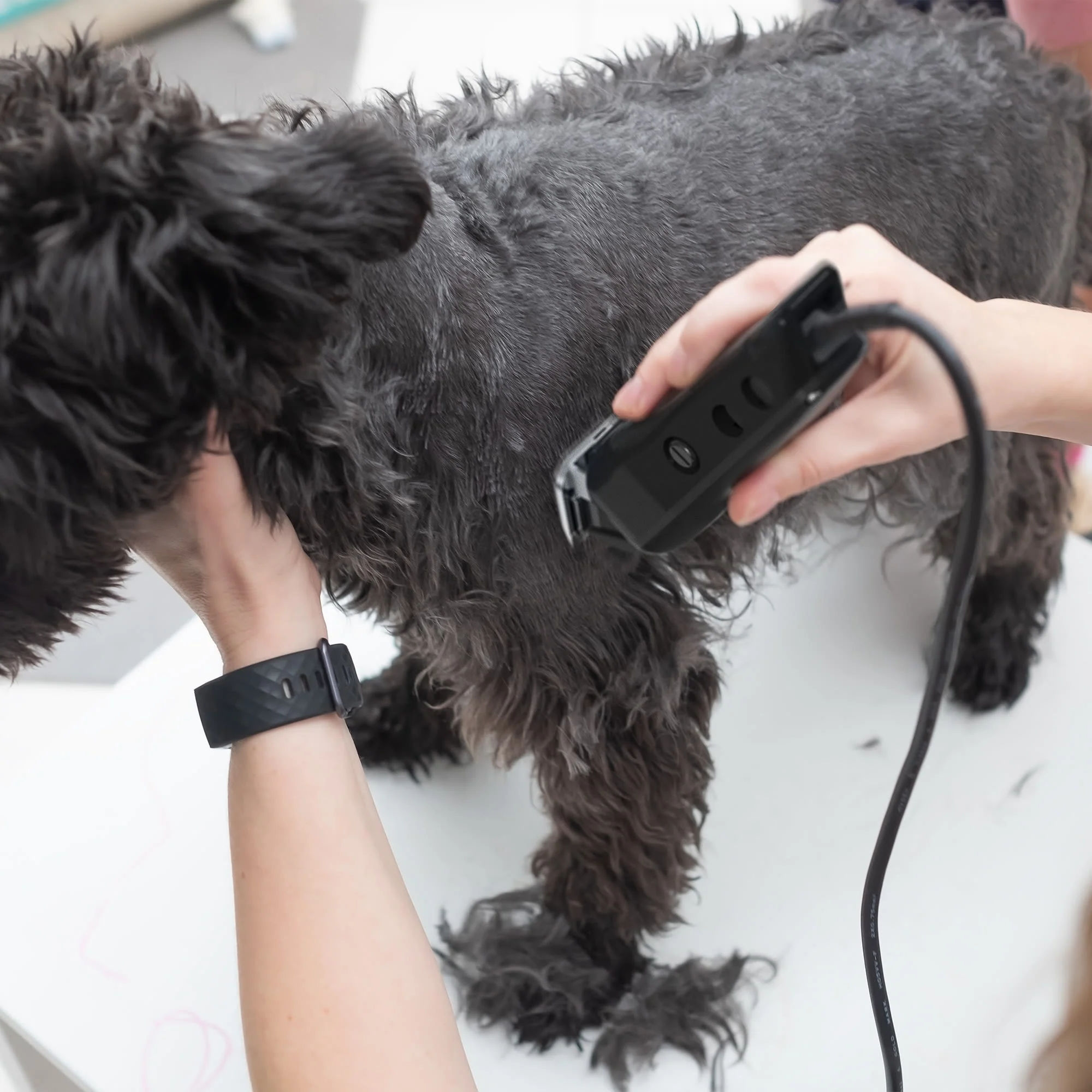 Wahl Multi Cut Mains Pet Clipper - Image 5