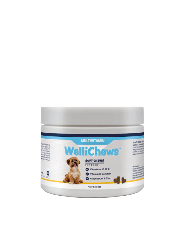 Wellichew Large Dogs Multi-Vitamin Supplements - Image 2