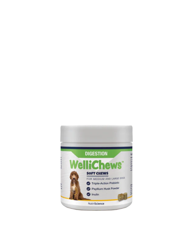 Wellichew Medium/Large Dogs Digestion Supplements