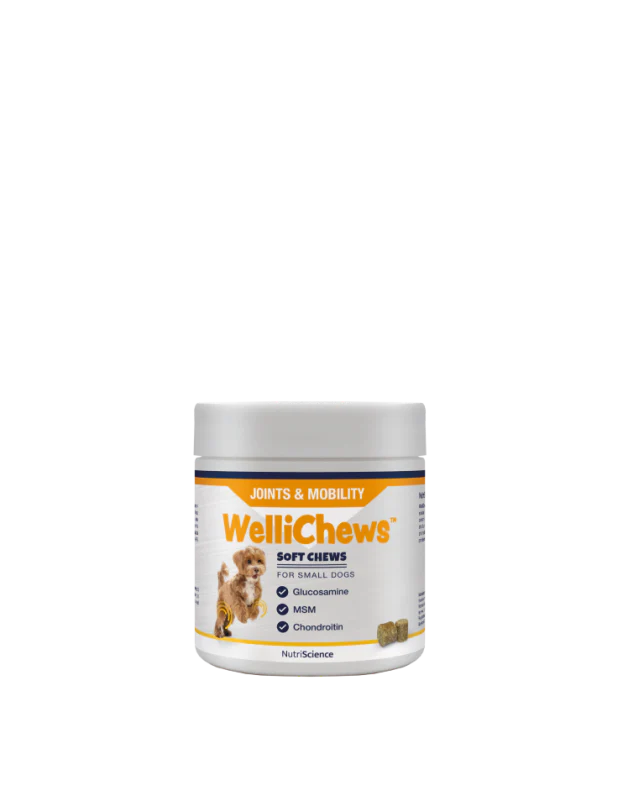 Wellichew Small Dog/Cat Joint Supplements