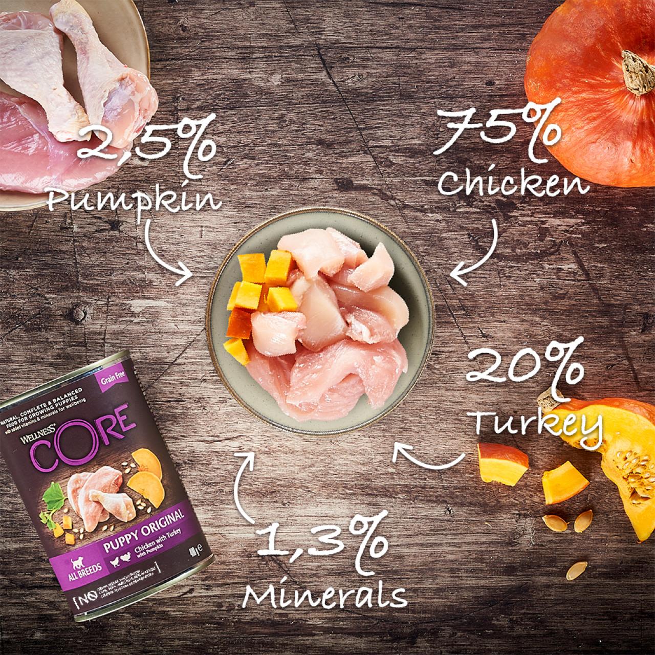 Wellness Core Grain-free Wet Puppy Food 95% Turkey and Chicken with Pumpkin - Image 3