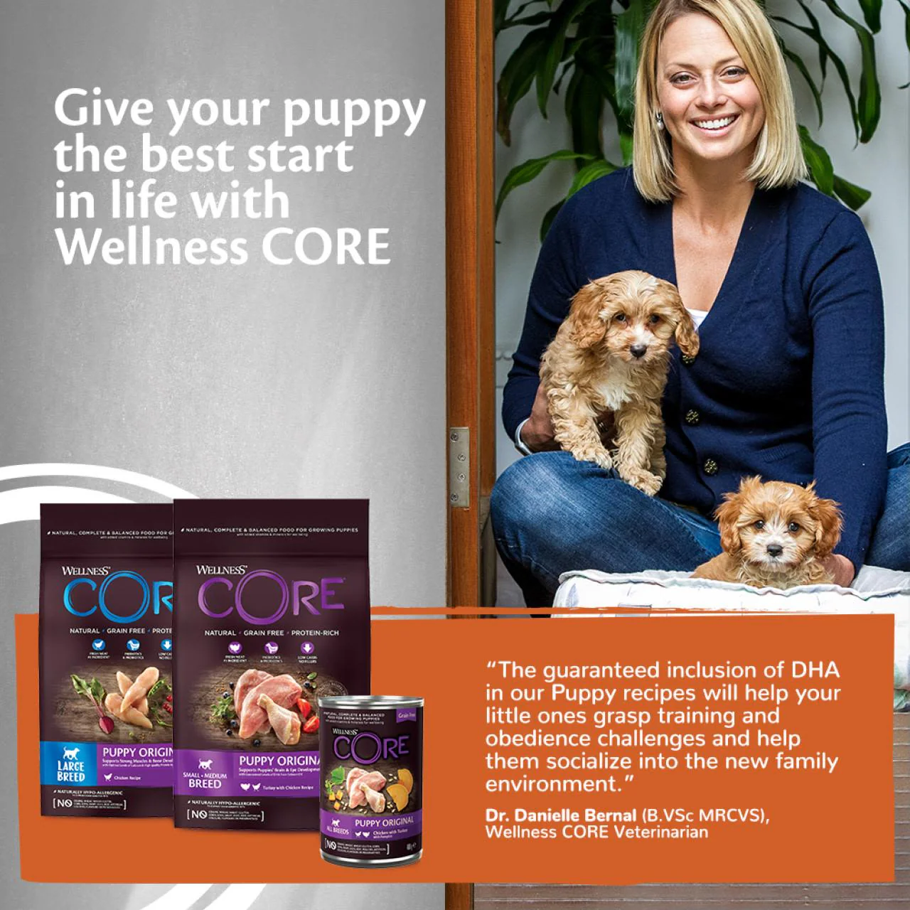 Wellness Core Grain-free Wet Puppy Food 95% Turkey and Chicken with Pumpkin - Image 6