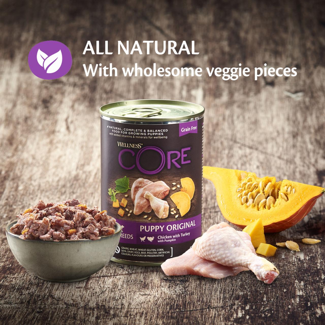 Wellness Core Grain-free Wet Puppy Food 95% Turkey and Chicken with Pumpkin - Image 7