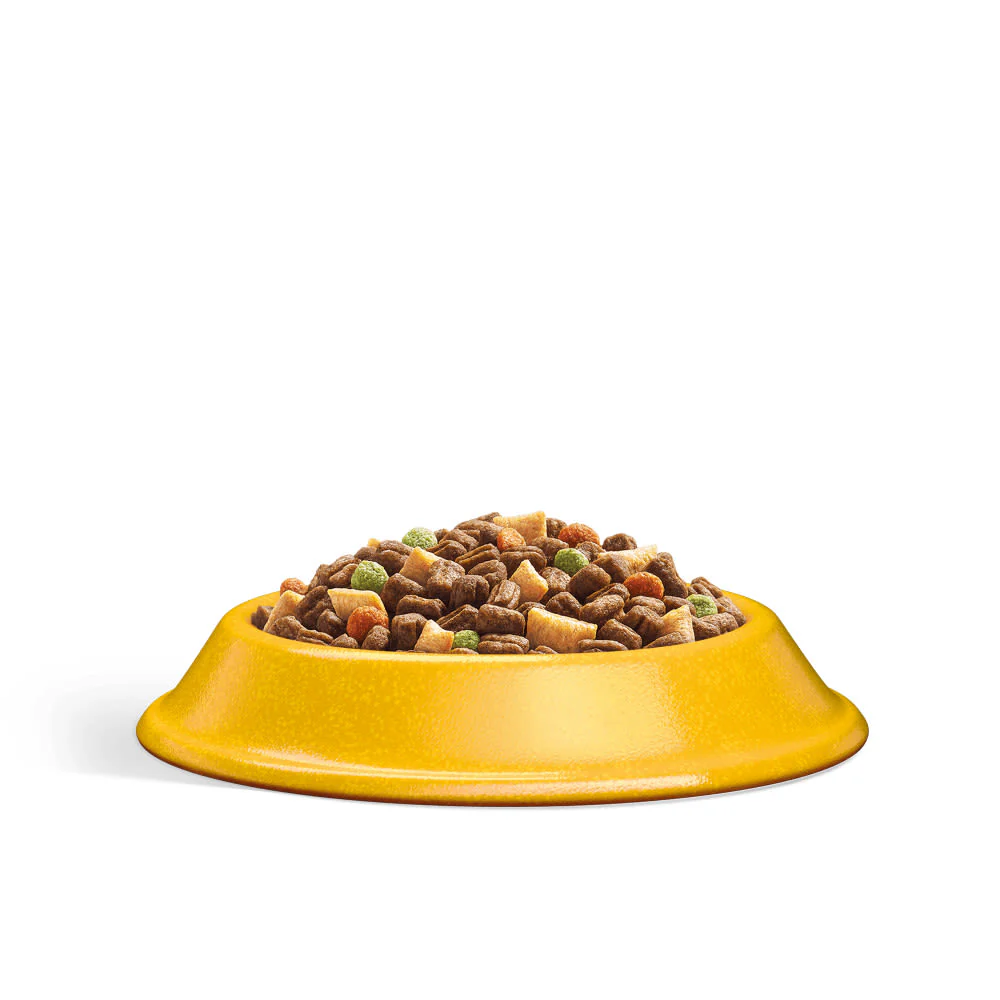Whiskas 1+ Chicken Adult Dry Cat Food - Image 2