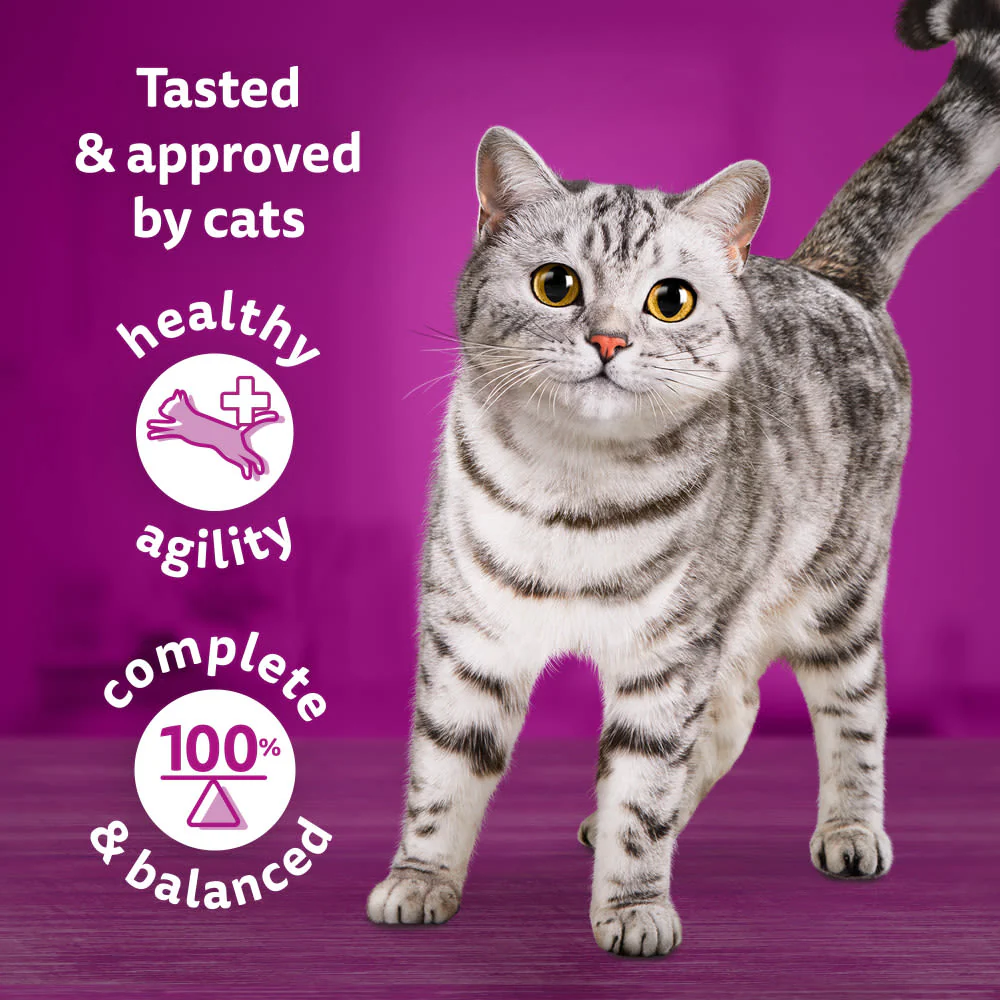 Whiskas 1+ Country Collection Mix Adult Wet Cat Food Pouch in Gravy - Image 4