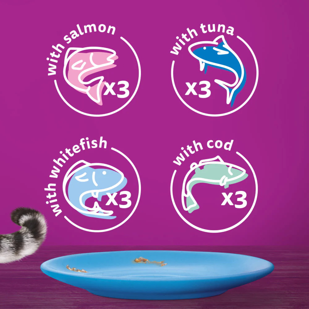 Whiskas 1+ Fish Favourites Adult Wet Cat Food Pouches in Jelly - Image 6