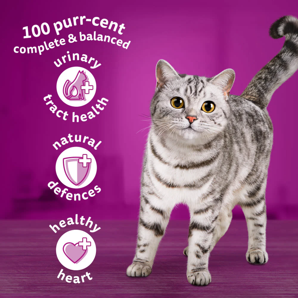 Whiskas 1+ Lamb Adult Dry Cat Food - Image 4