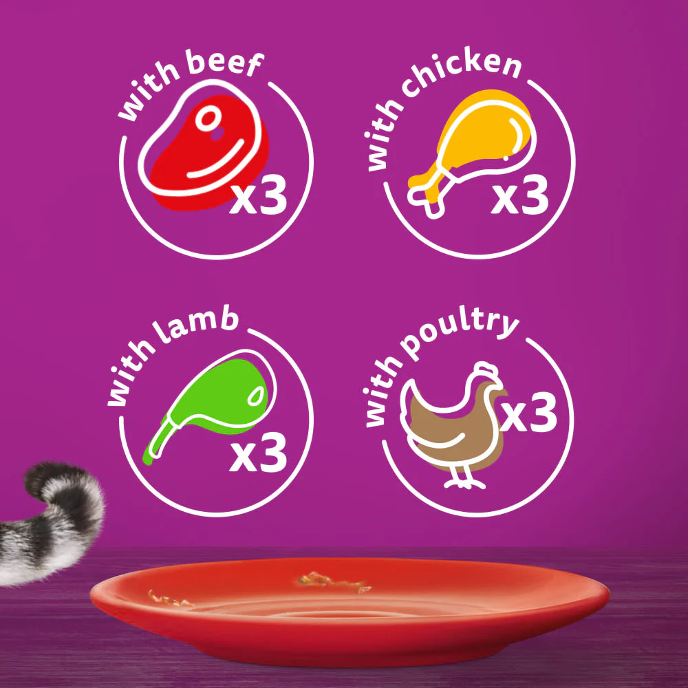Whiskas 1+ Meaty Meals Adult Wet Cat Food Pouches in Jelly - Image 6