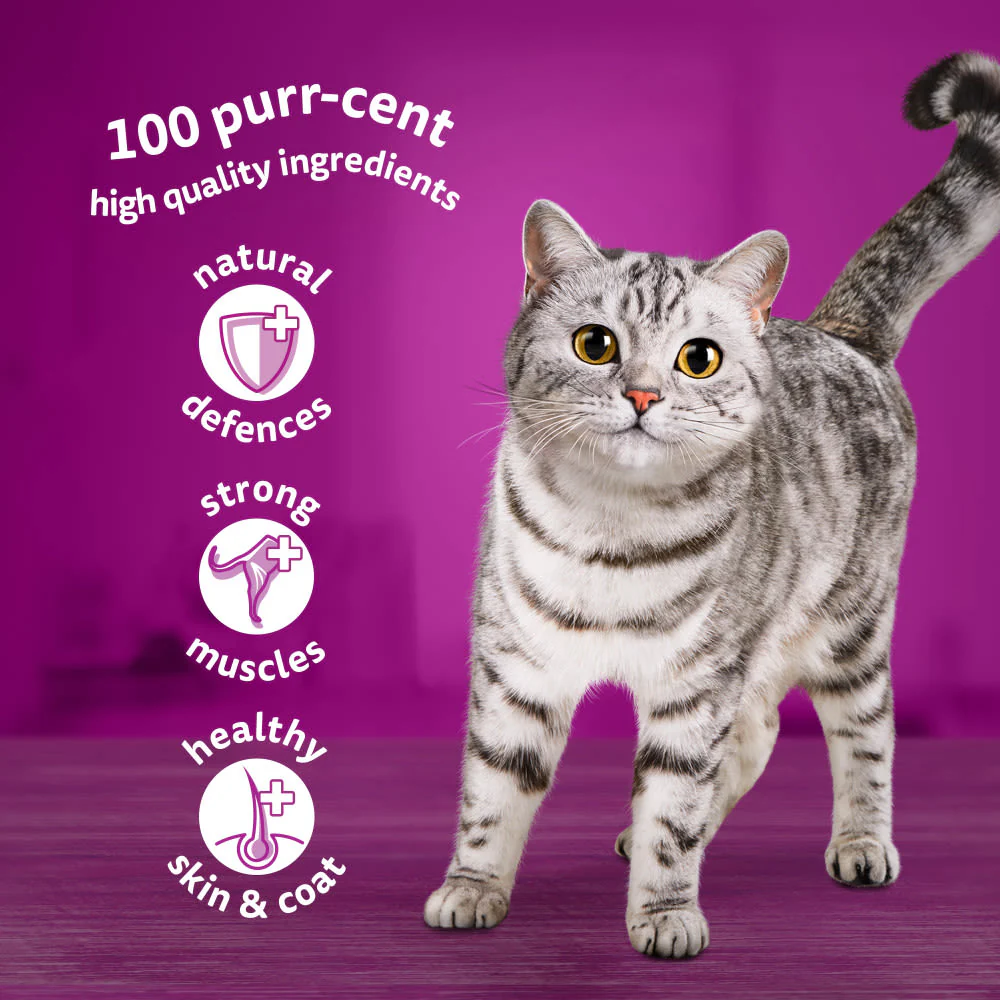 Whiskas 1+ Poultry Feasts Adult Wet Cat Food Pouches in Gravy - Image 4