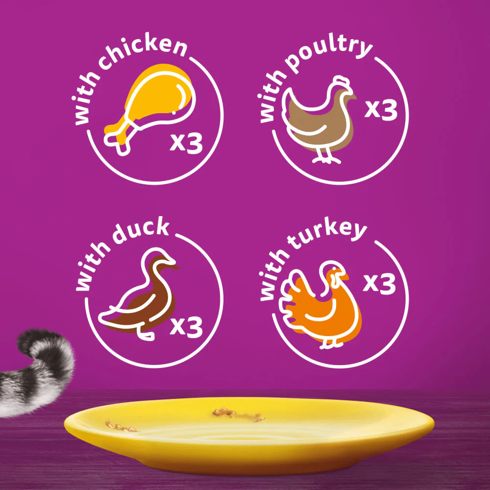 Whiskas 1+ Poultry Feasts Adult Wet Cat Food Pouches in Gravy - Image 6