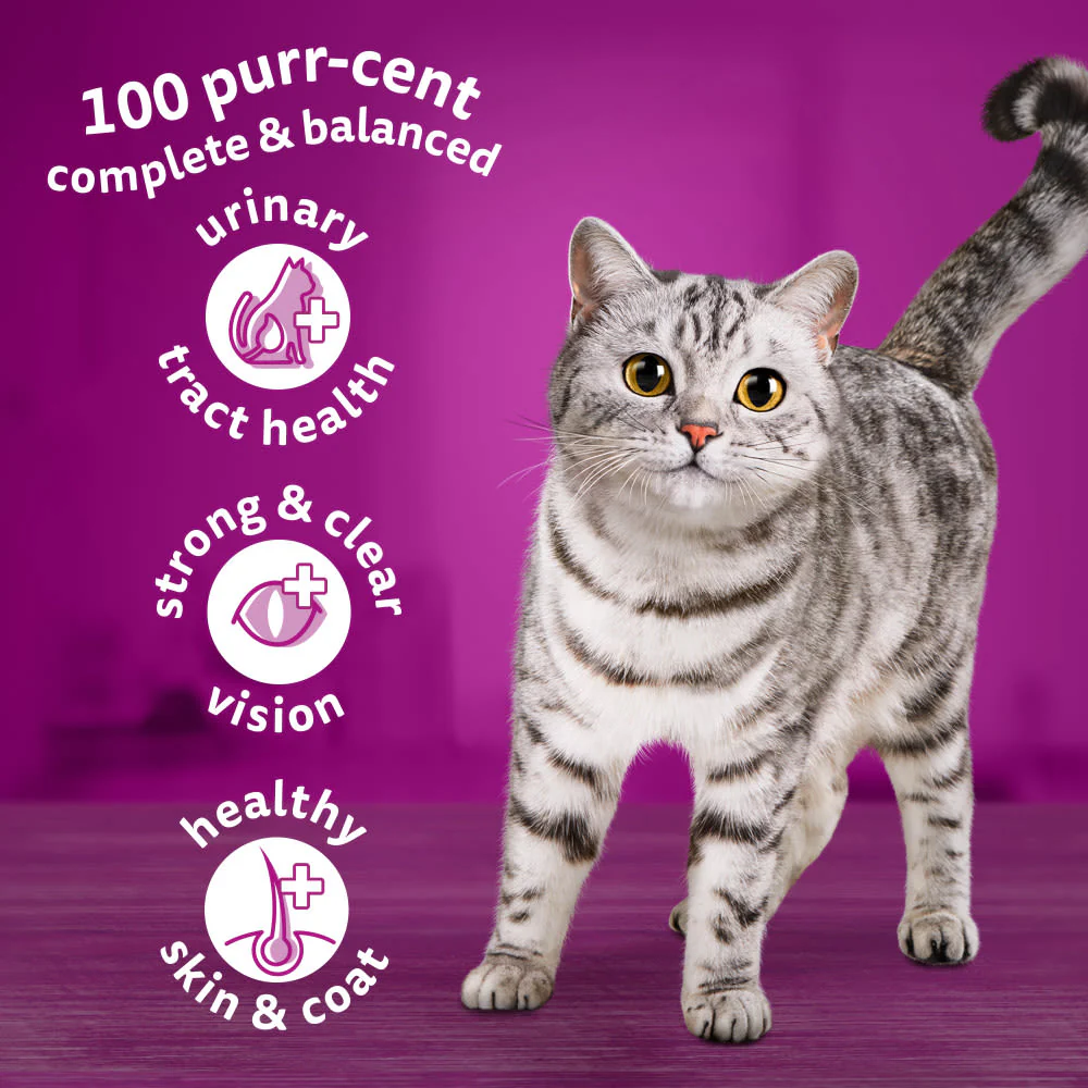 Whiskas 1+ Tuna Adult Dry Cat Food - Image 4