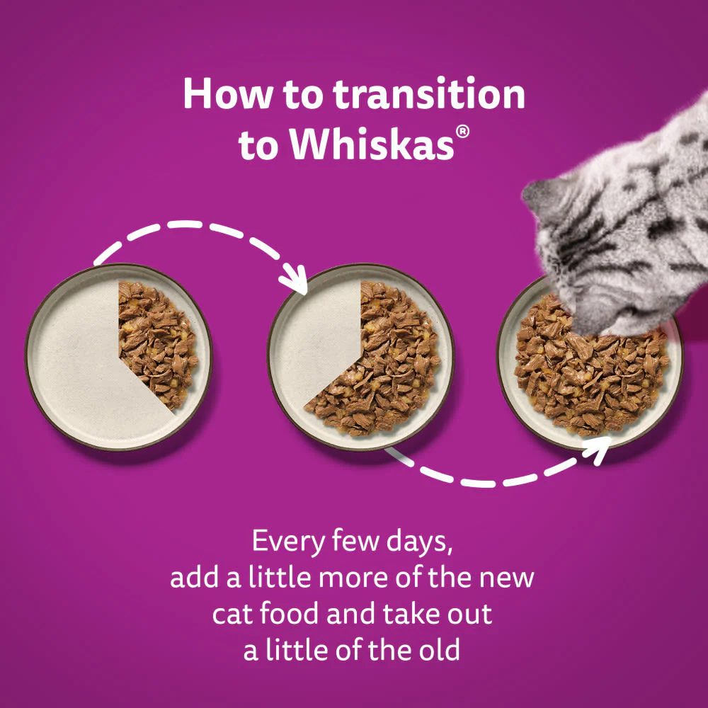 Whiskas 11+ Poultry Feasts Senior Wet Cat Food Pouches in Jelly - Image 8