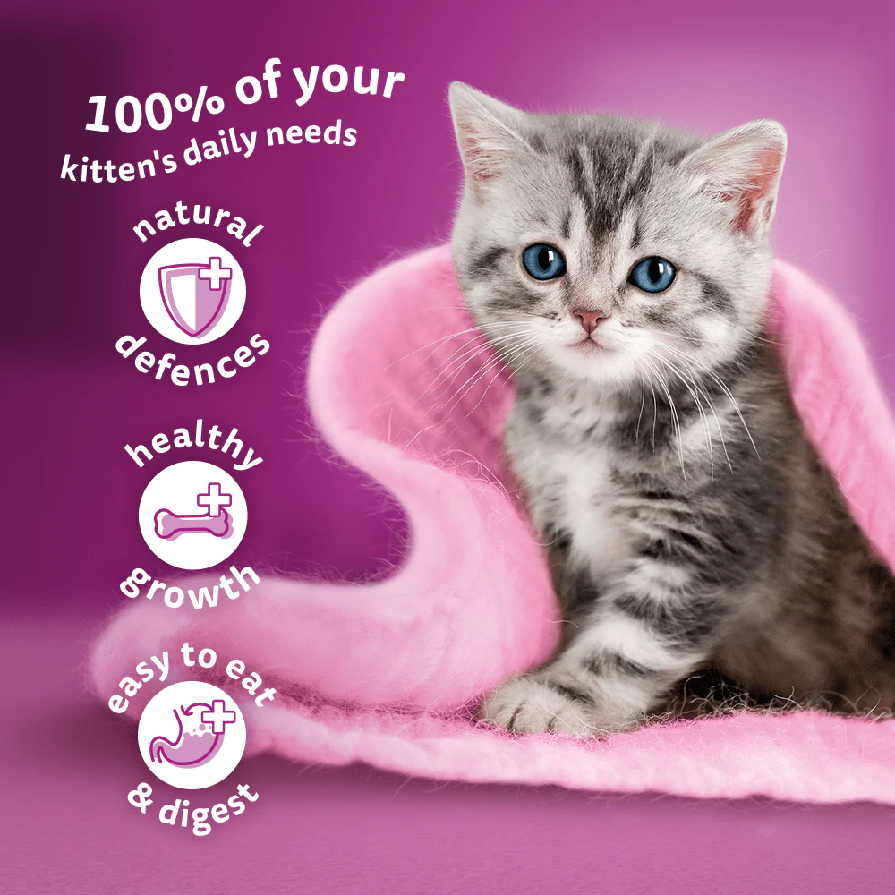 Whiskas Cat Pouches Poultry Feasts in Jelly 2-12Months Wet Kitten Food - Image 3