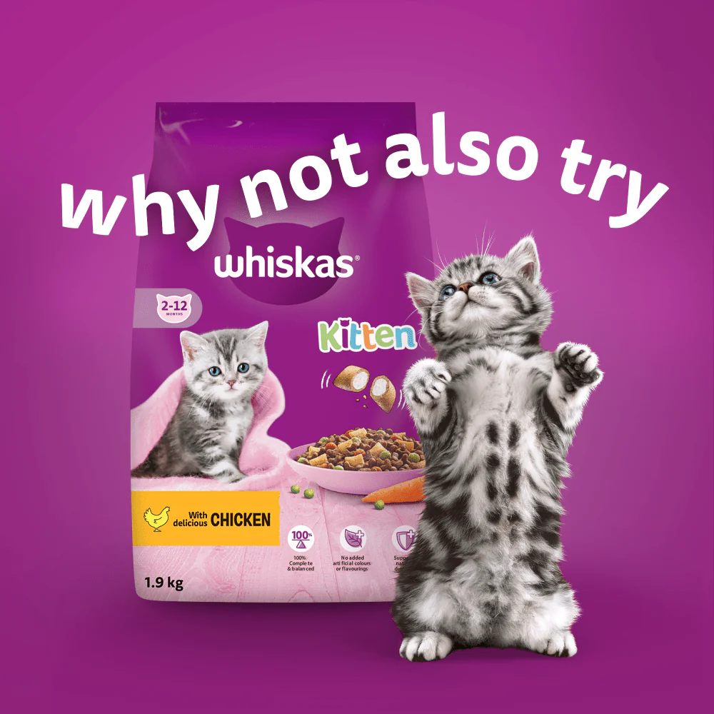 Whiskas Cat Pouches Poultry Feasts in Jelly 2-12Months Wet Kitten Food - Image 5