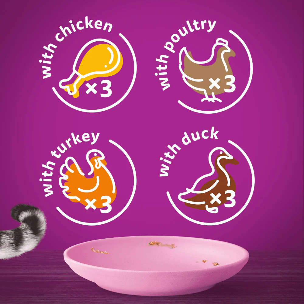 Whiskas Cat Pouches Poultry Feasts in Jelly 2-12Months Wet Kitten Food - Image 6