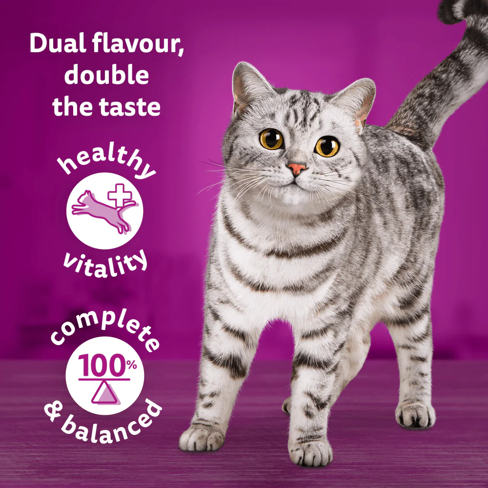 Whiskas Duo Ocean Delights in Jelly 1+ Adult Wet Cat Food Pouches - Image 3