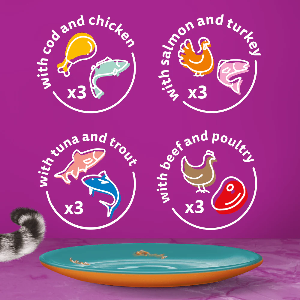 Whiskas Duo Surf & Turf in Jelly 1+ Adult Wet Cat Food Pouches - Image 4