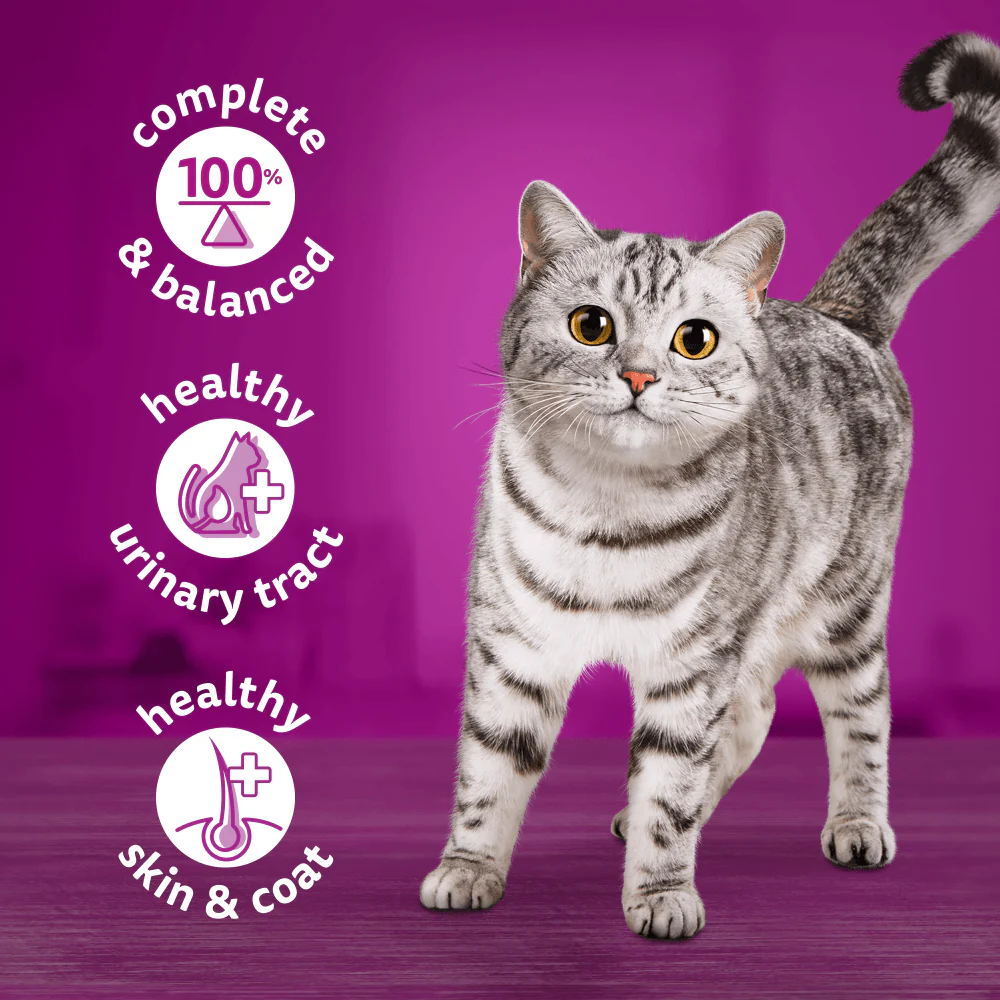 Whiskas Farm Menu in Jelly 1+ Adult Wet Cat Food Tin - Image 3