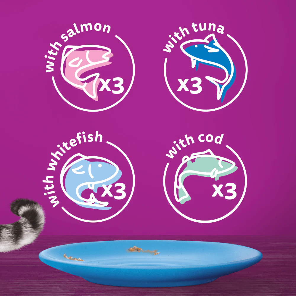 Whiskas Fish Favourites in Jelly Senior 11+ Wet Cat Food Pouches - Image 6