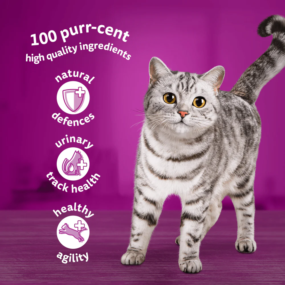 Whiskas Fish Favourites in Jelly Senior 11+ Wet Cat Food Pouches - Image 8