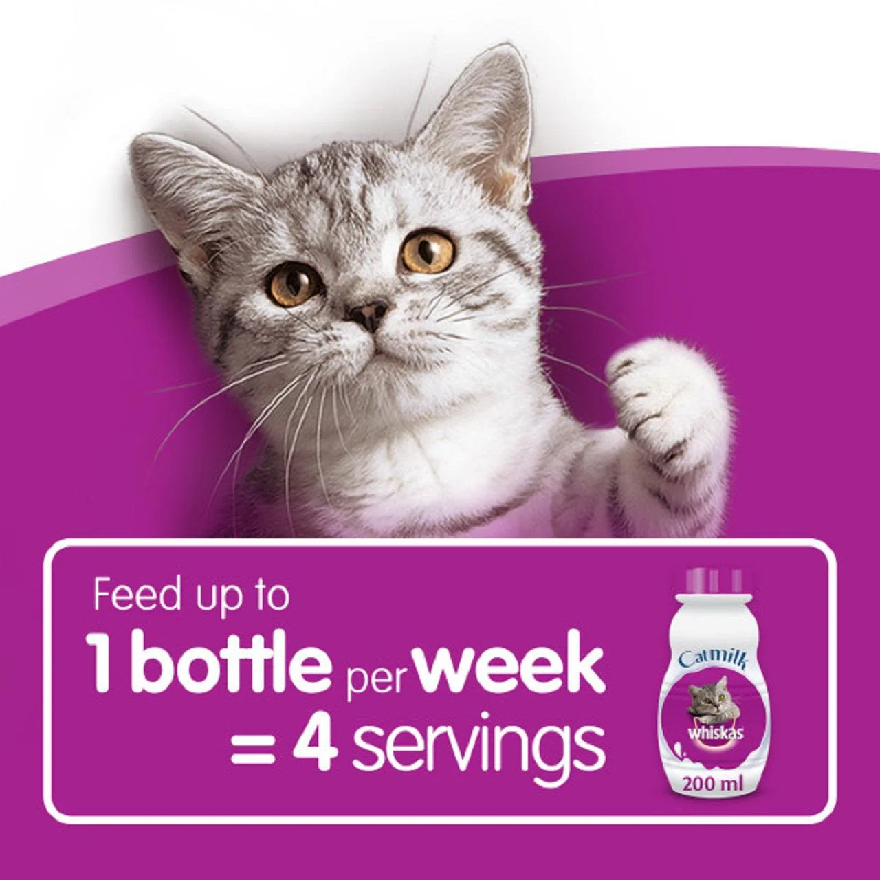 Whiskas Kitten Cat Milk Bottle - Image 5