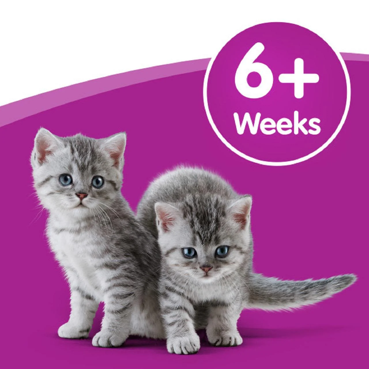 Whiskas Kitten Cat Milk Bottle - Image 6
