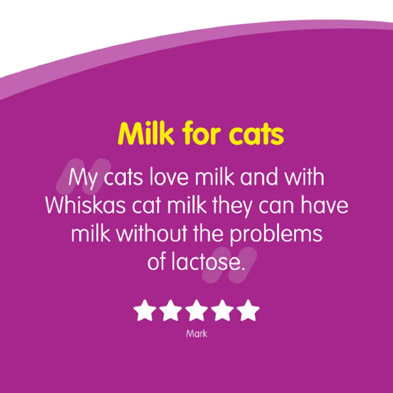 Whiskas Kitten Cat Milk Bottle - Image 7