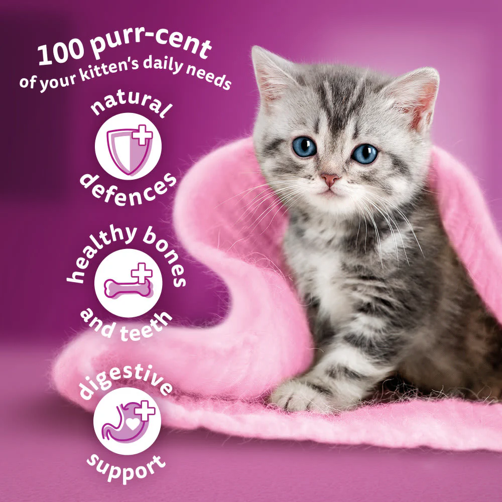 Whiskas Kitten Chicken Dry Cat Food - Image 4