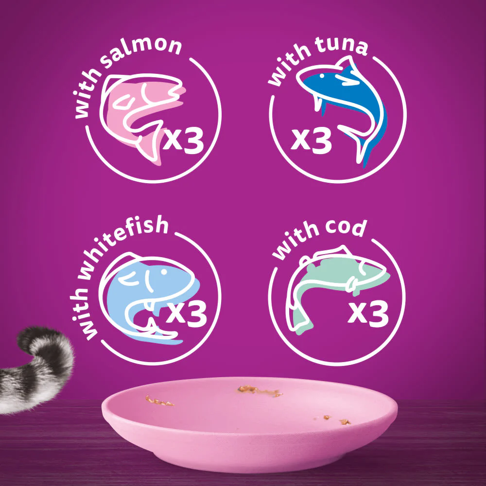 Whiskas Kitten Fish Favourites Wet Cat Food Pouches in Jelly - Image 6