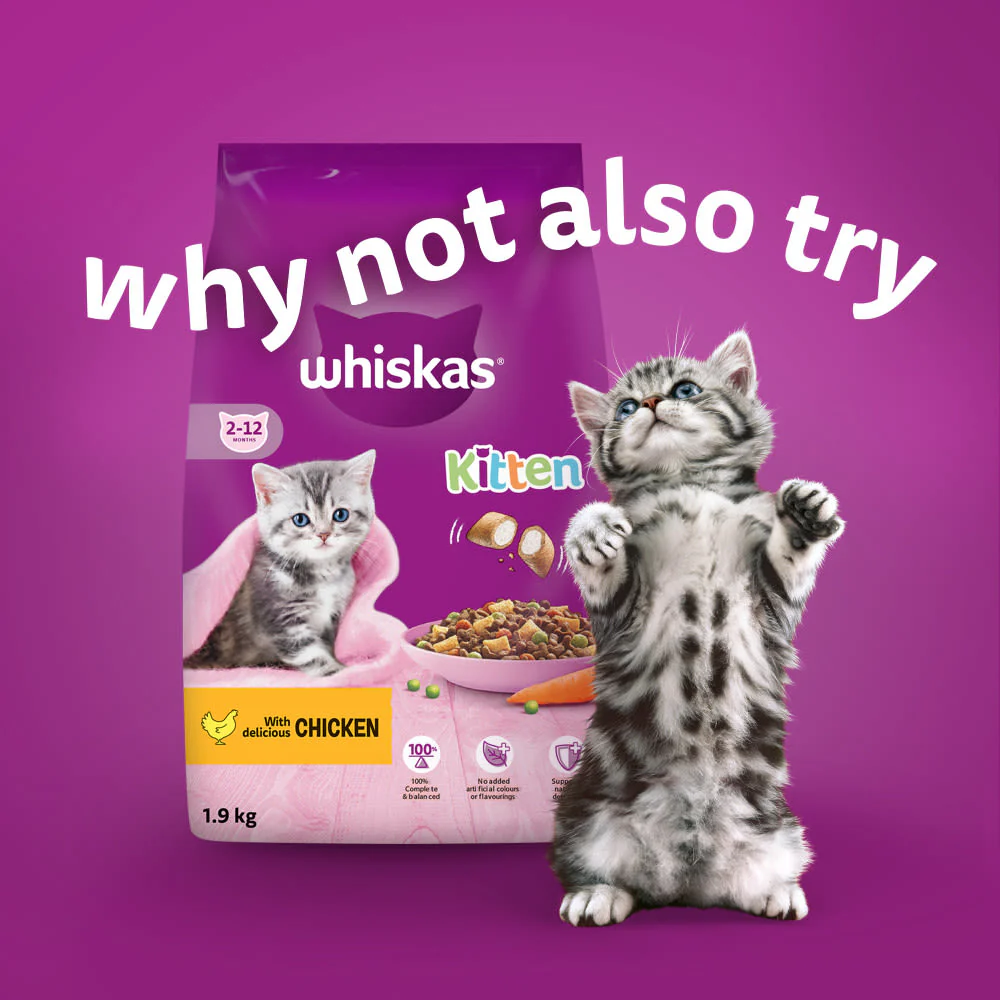 Whiskas Kitten Fish Favourites Wet Cat Food Pouches in Jelly - Image 8