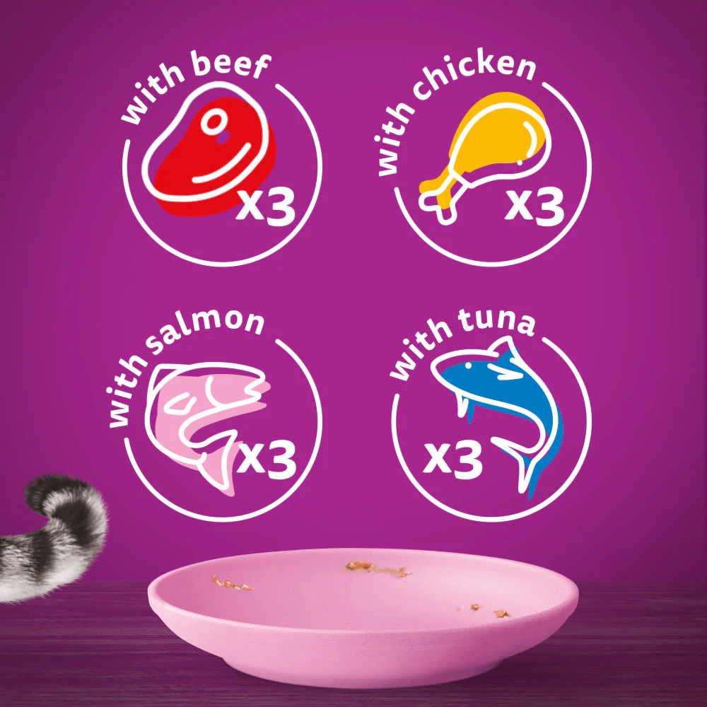 Whiskas Kitten Mixed Menu Wet Cat Food Pouches in Jelly - Image 6