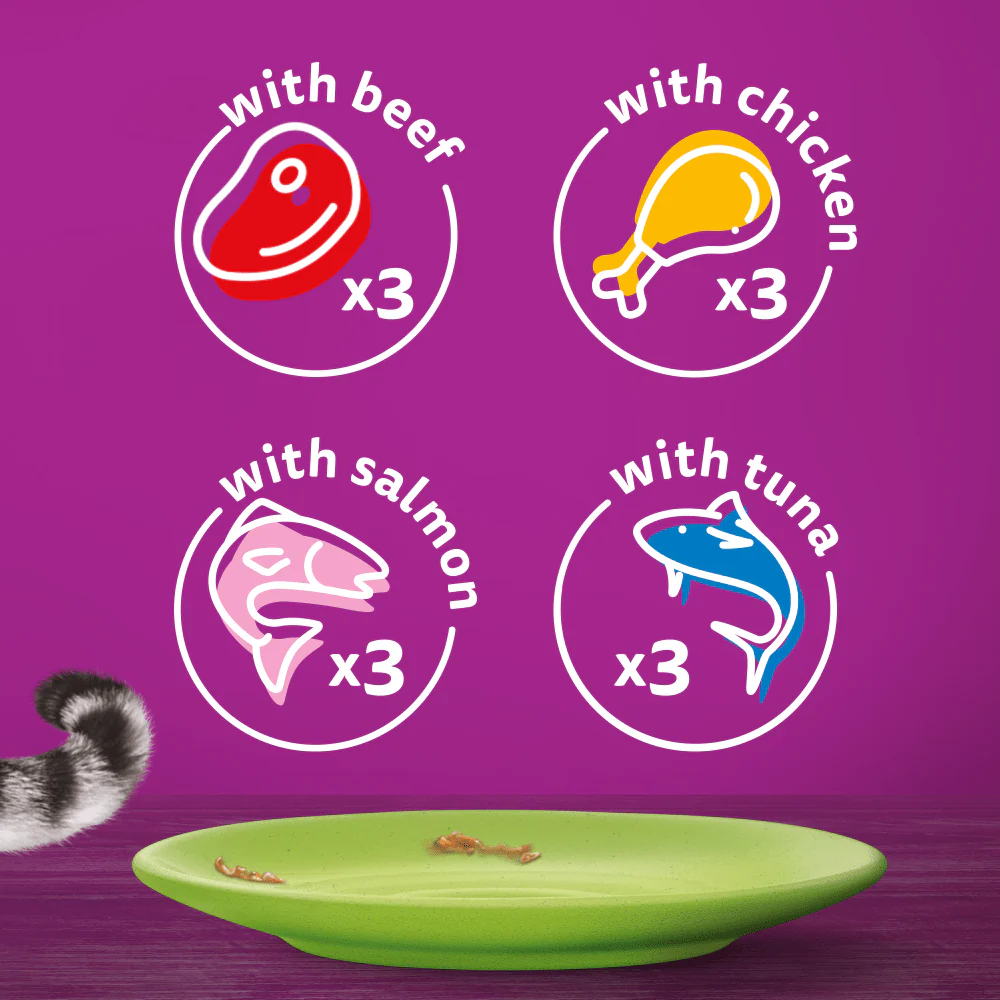 Whiskas Mixed Menu in Jelly 1+ Adult Wet Cat Food Pouches - Image 6