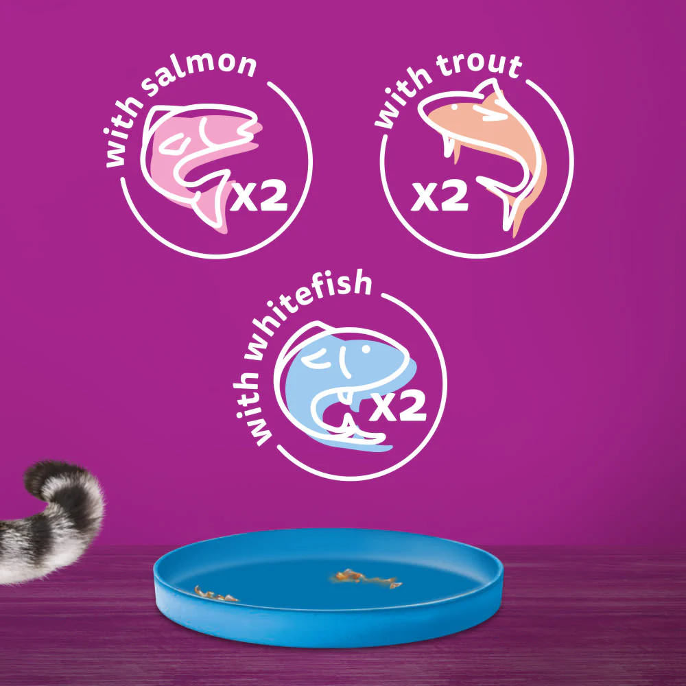 Whiskas Ocean Menu Adult Wet Cat Food in Jelly Tin - Image 6