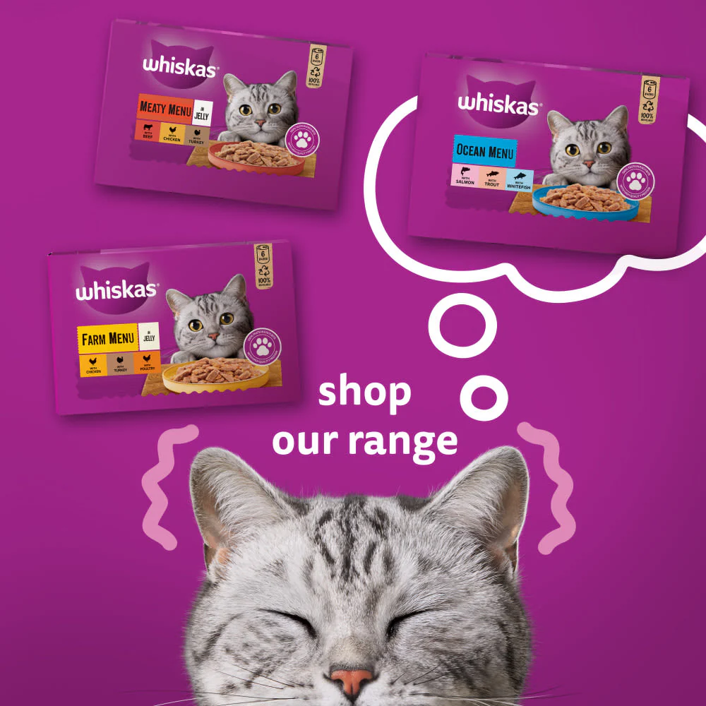 Whiskas Ocean Menu Adult Wet Cat Food in Jelly Tin - Image 8