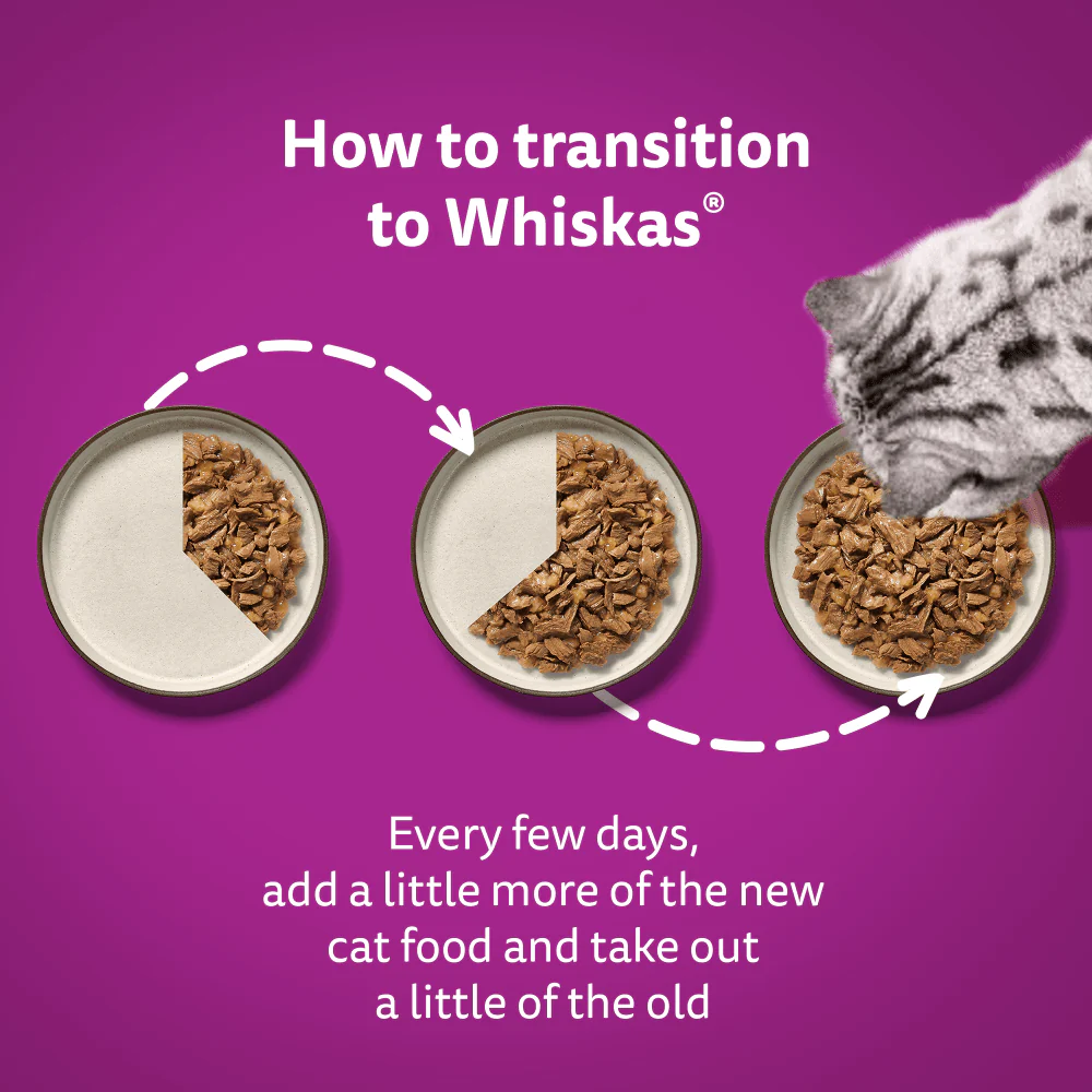 Whiskas Poultry Feasts in Jelly 1+ Adult Wet Cat Food Pouches - Image 5