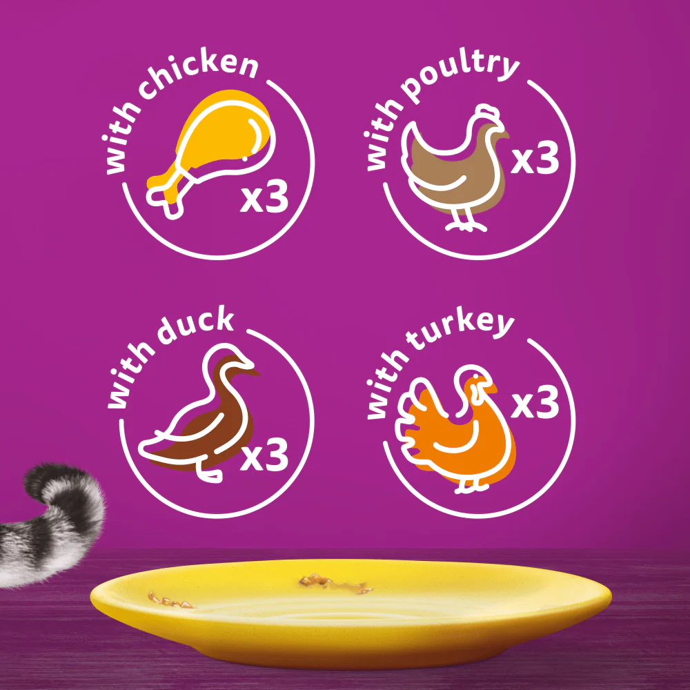 Whiskas Poultry Feasts in Jelly 1+ Adult Wet Cat Food Pouches - Image 6