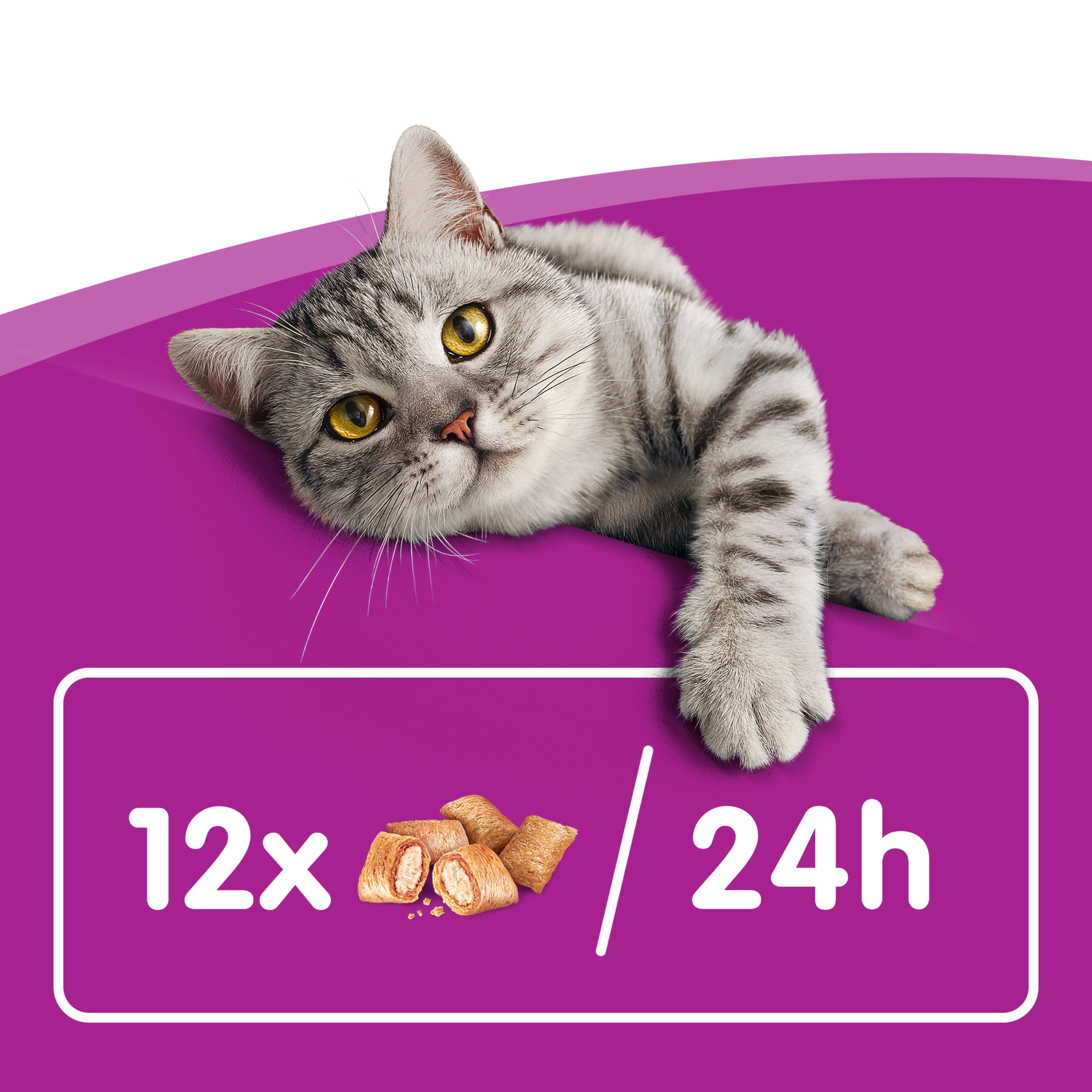 Whiskas Temptations Adult Cat Treats with Salmon Flavour - Image 9