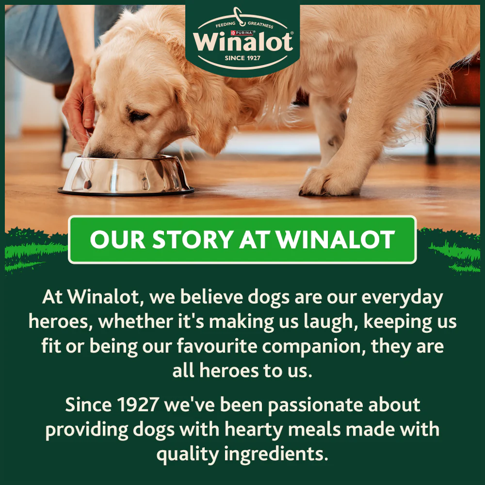 Winalot Adult Dry Dog Food with Chicken - Image 18