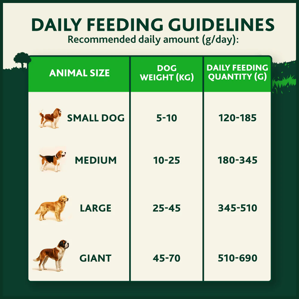 Winalot Adult Dry Dog Food with Salmon - Image 16