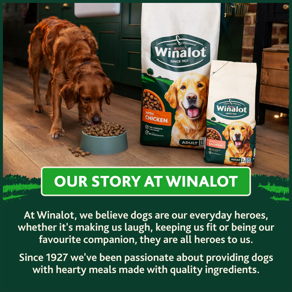 Winalot Adult Dry Dog Food with Salmon - Image 18