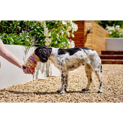 Yakers Adult Crunchy Bites Dog Treats - Cheese - Image 4