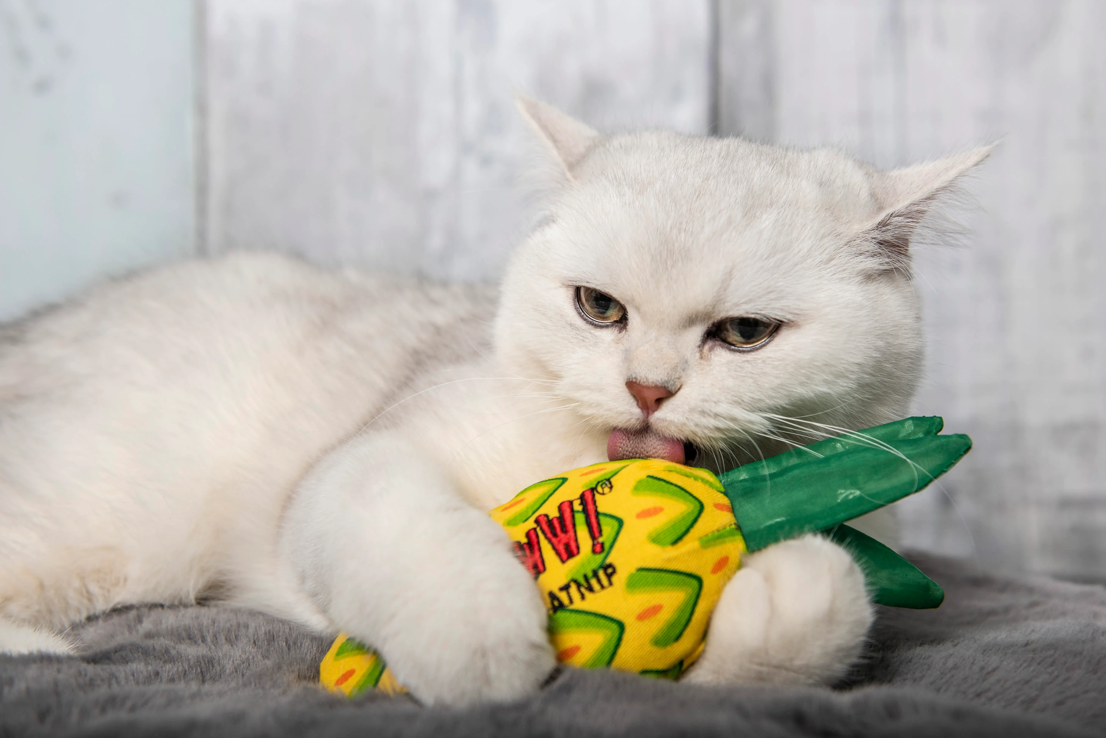 Yeowww! Catnip Pineapple Cat Toy - Image 2