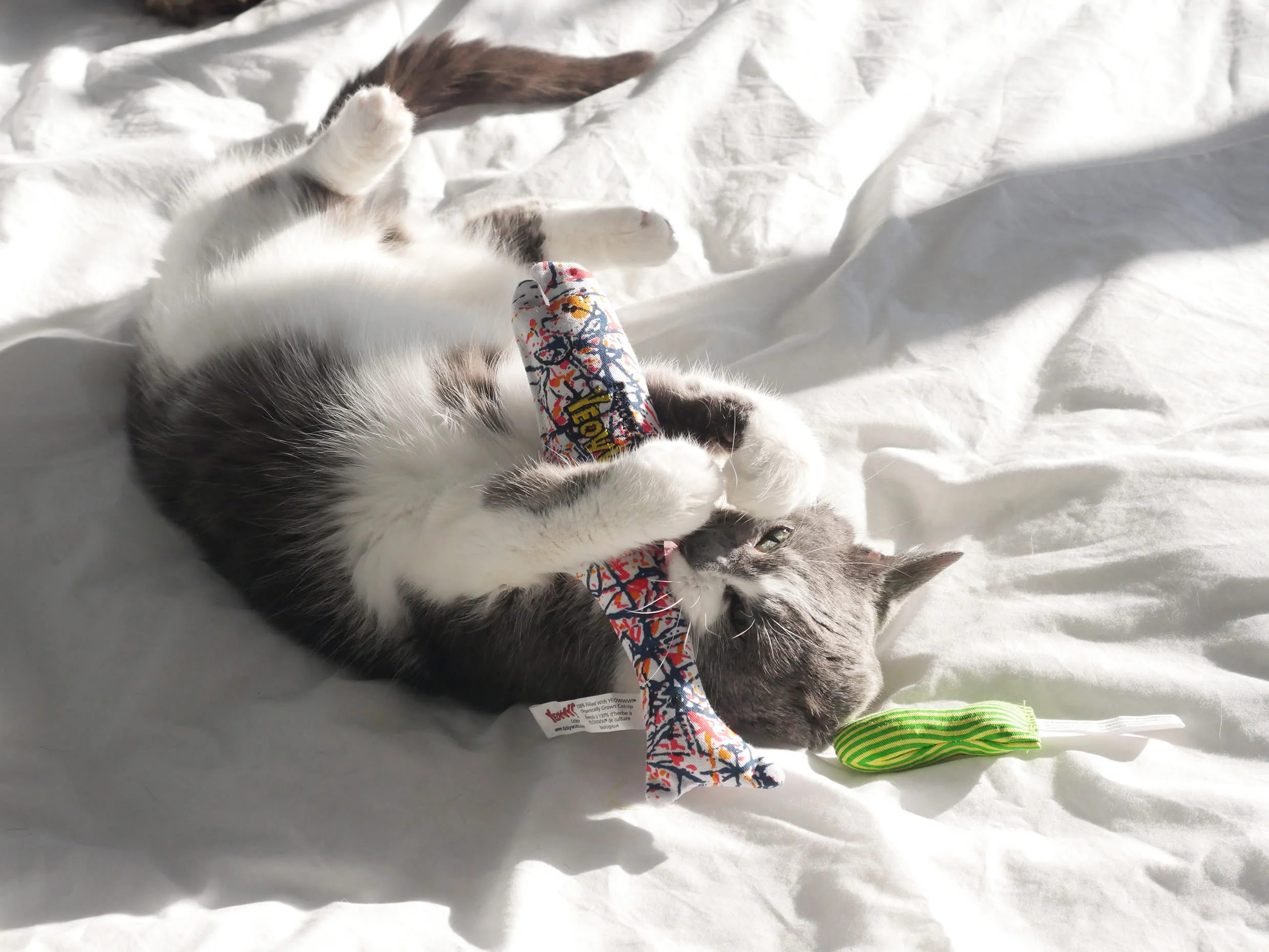 Yeowww! Catnip Pollock Fish Cat Toy - Image 5
