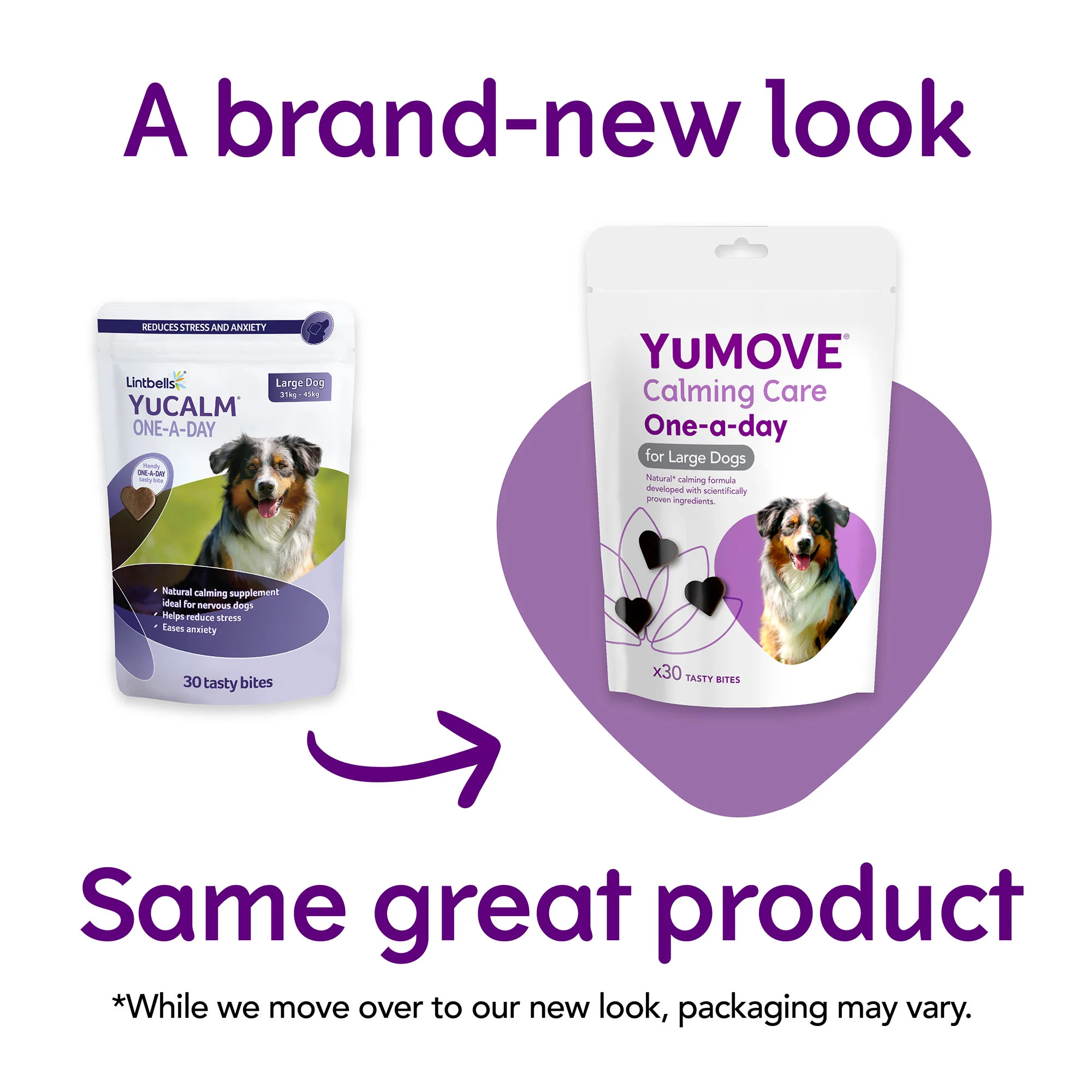 YuMOVE One-A-Day Calming Care Supplement for Large Dogs - Image 2