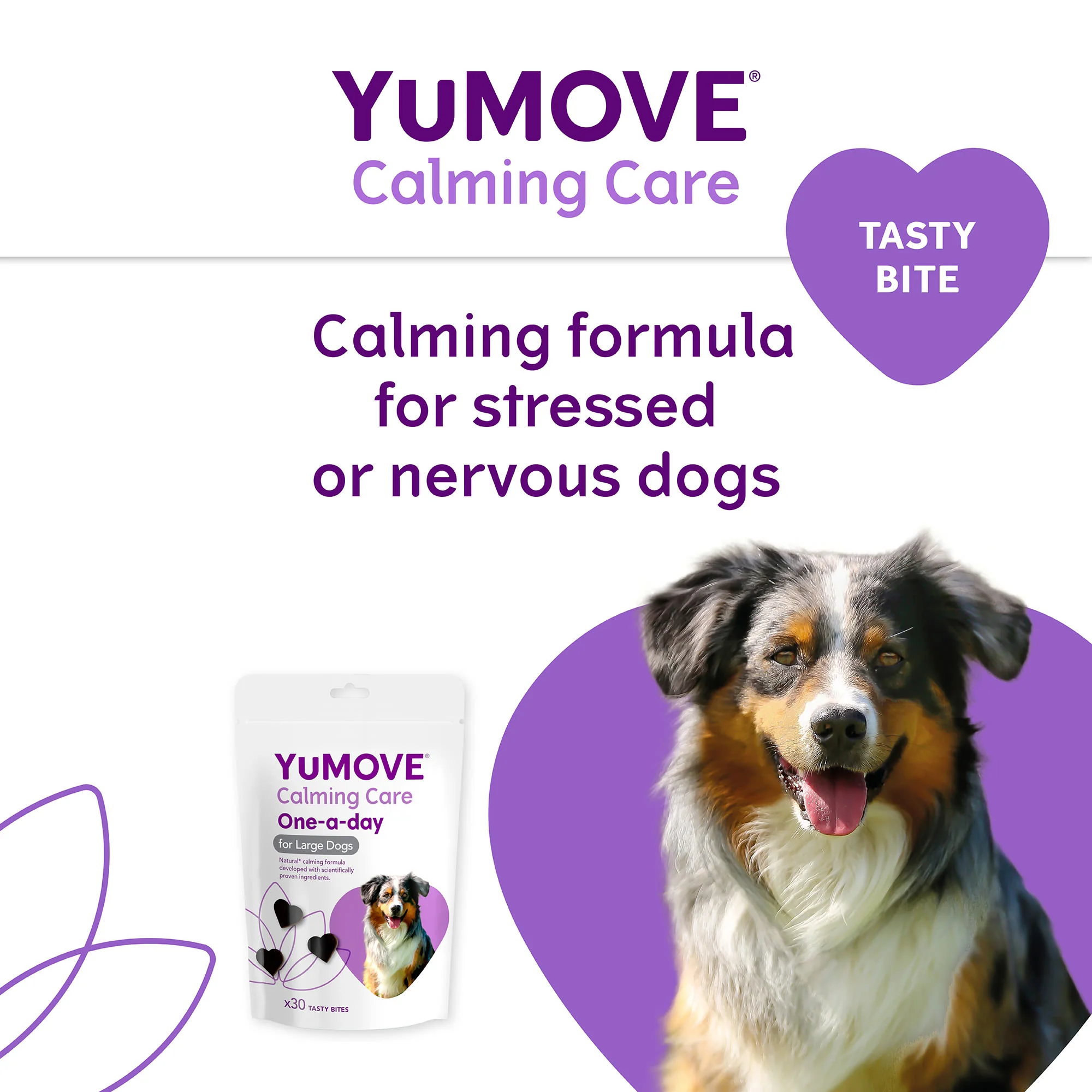 YuMOVE One-A-Day Calming Care Supplement for Large Dogs - Image 3