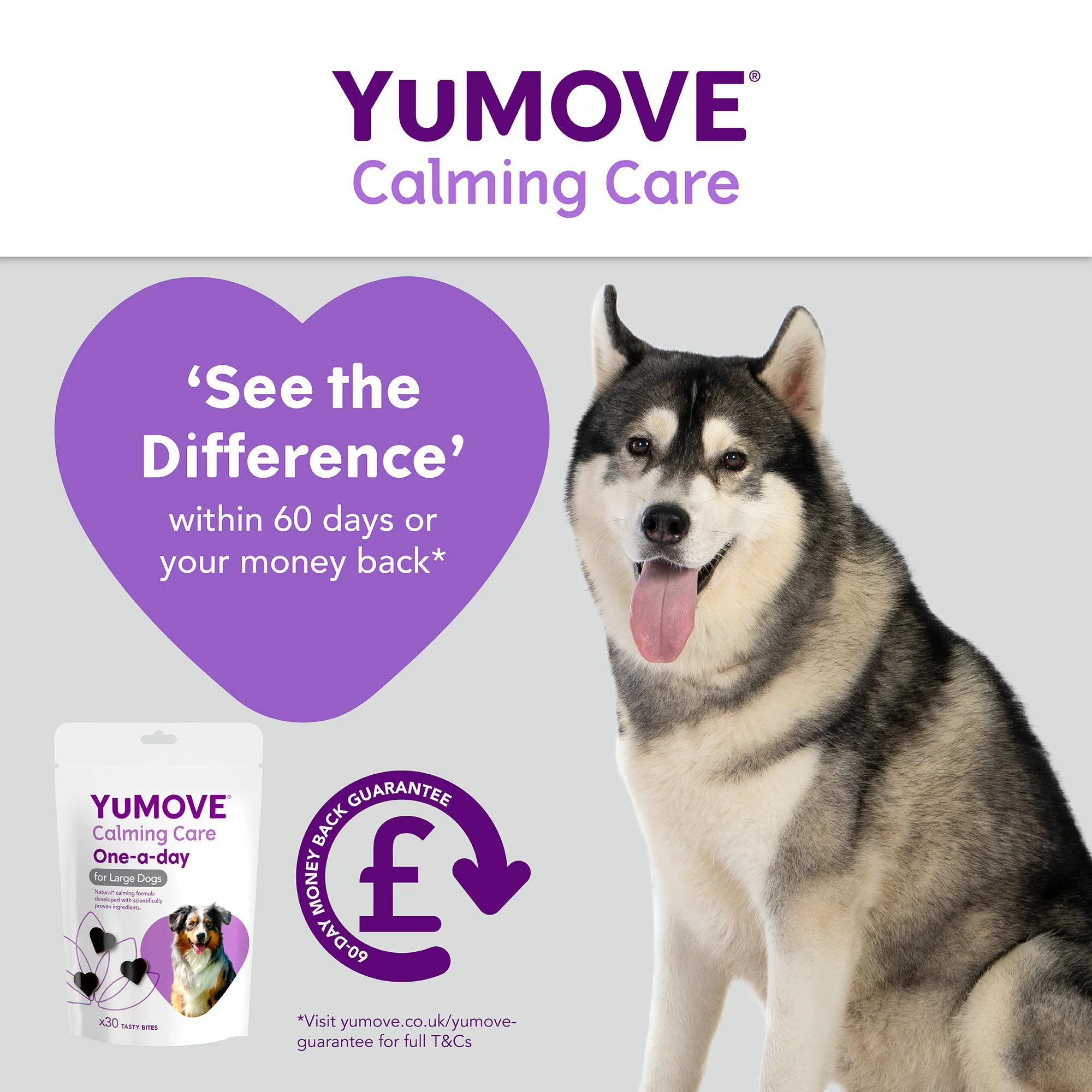 YuMOVE One-A-Day Calming Care Supplement for Large Dogs - Image 4