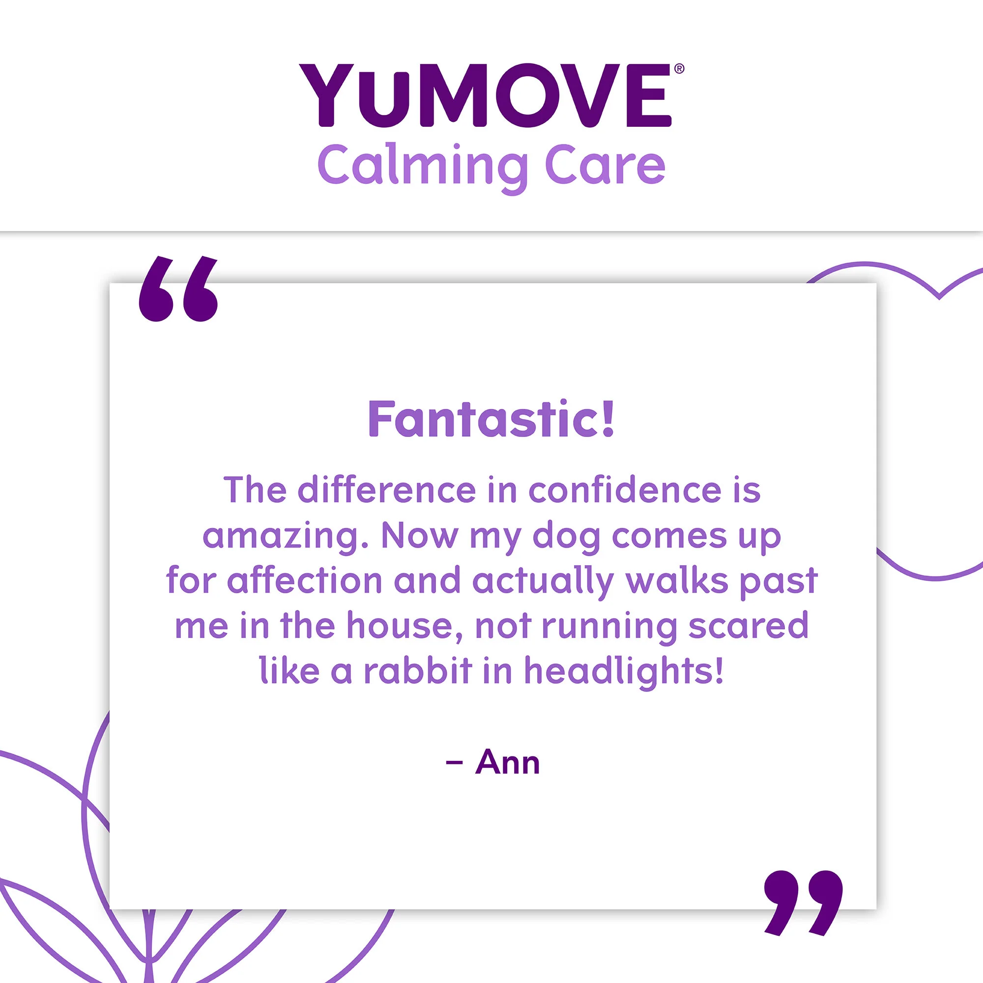 YuMOVE One-A-Day Calming Care Supplement for Large Dogs - Image 5